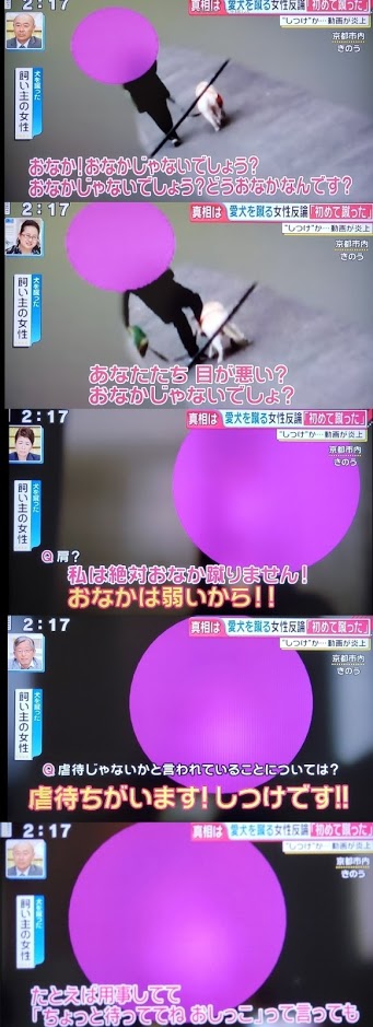 犬を虐待するおばさんの言い訳が小学生レベル しゃもじの放課後 犬を虐待するおばさんの言い訳が小学生レベル しゃもじの放課後
