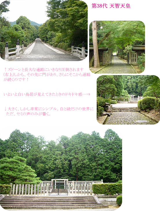イメージ 4
