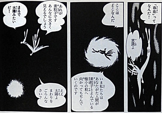 イメージ 8