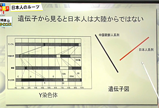 イメージ 6