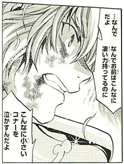 イメージ 6