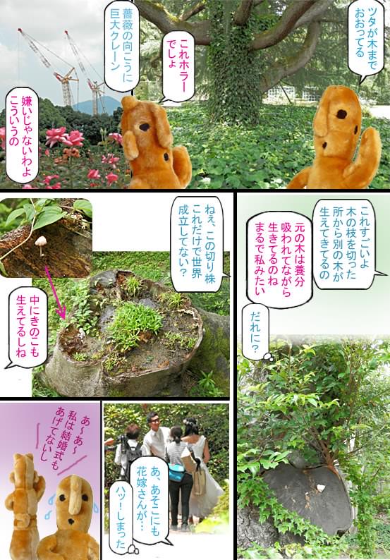 イメージ 3