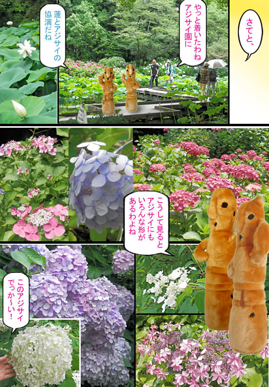 イメージ 4