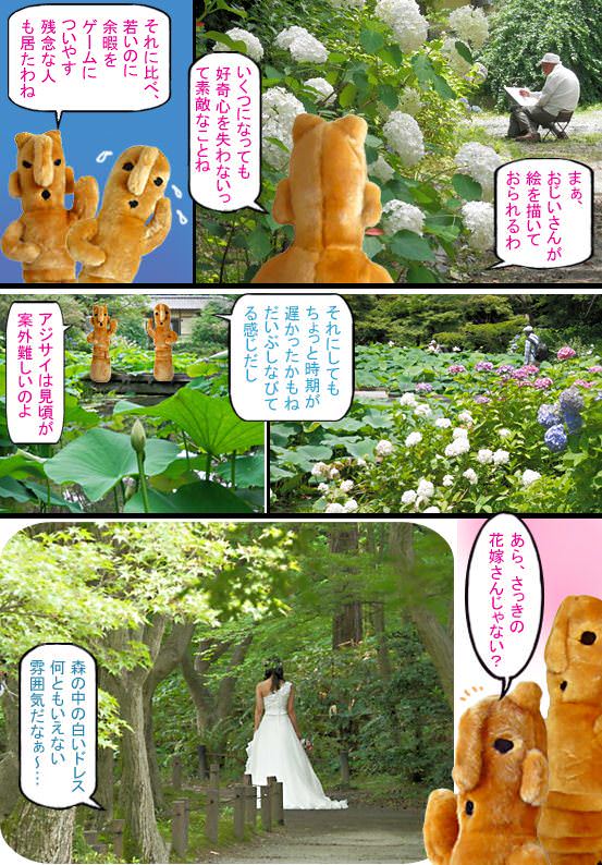 イメージ 5