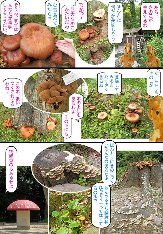 イメージ 6