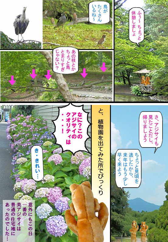 イメージ 7
