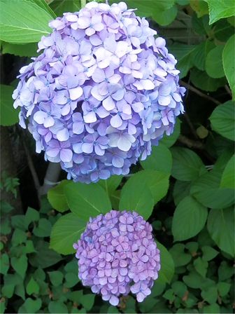 イメージ 9