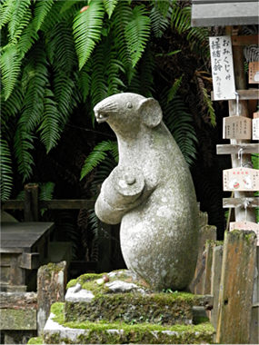 イメージ 8