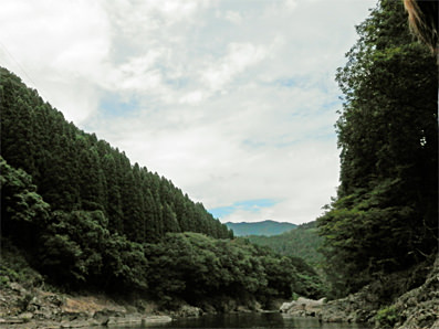 イメージ 2