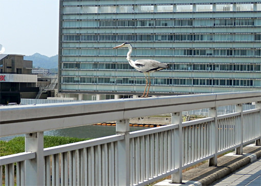イメージ 15