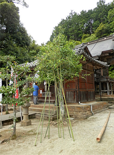 イメージ 8