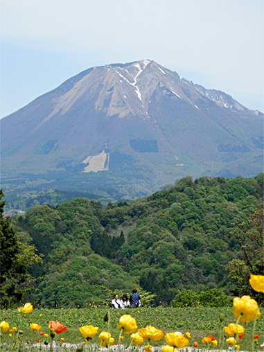 イメージ 10