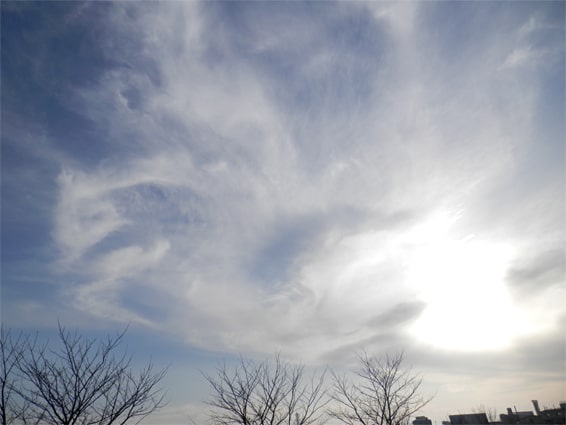 f:id:syandery:20210212205538j:plain