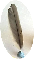 f:id:syandery:20211024200549j:plain