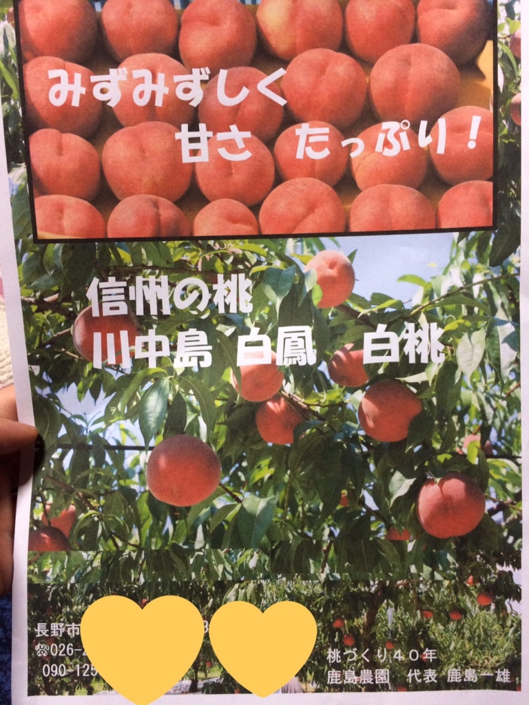f:id:syaorine:20170129013529j:plain