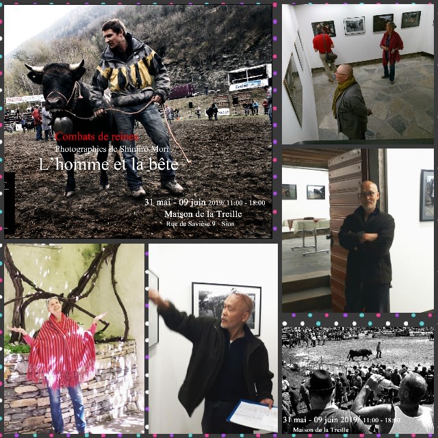 f:id:syaraku-sai:20190604201047j:image