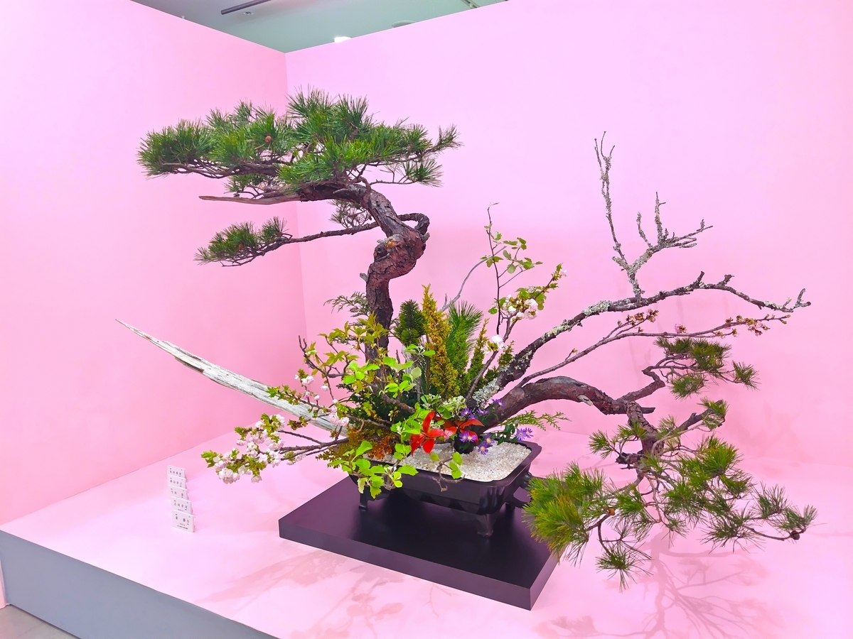 日本いけばな芸術展 - のうさぎの部屋