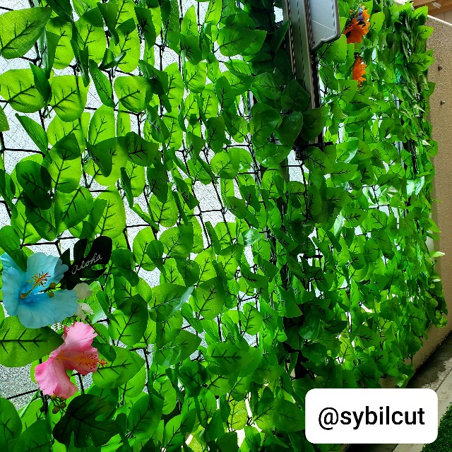 f:id:sybilcut:20200823160304j:image