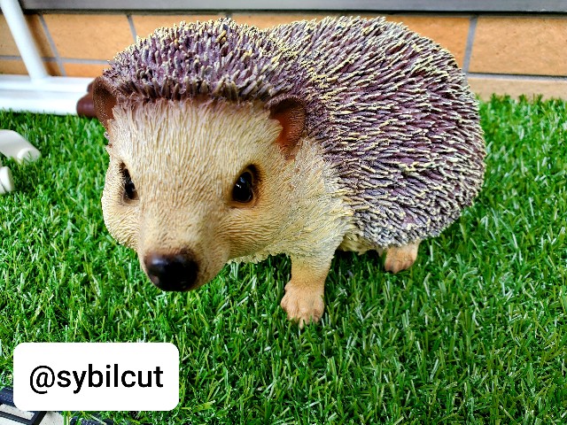 f:id:sybilcut:20200823160328j:image