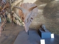 20250414223358
