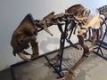 20250414223633