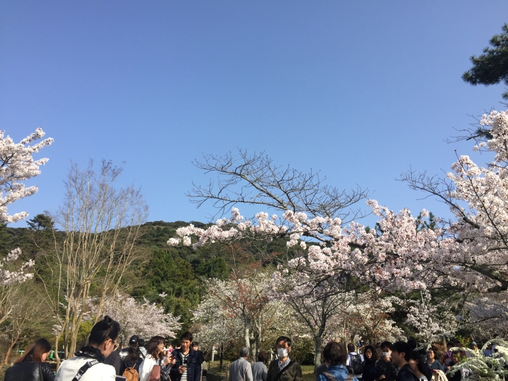 f:id:syha:20180409000233j:plain