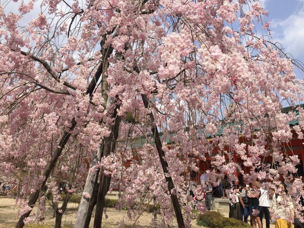 f:id:syha:20180409224247j:plain