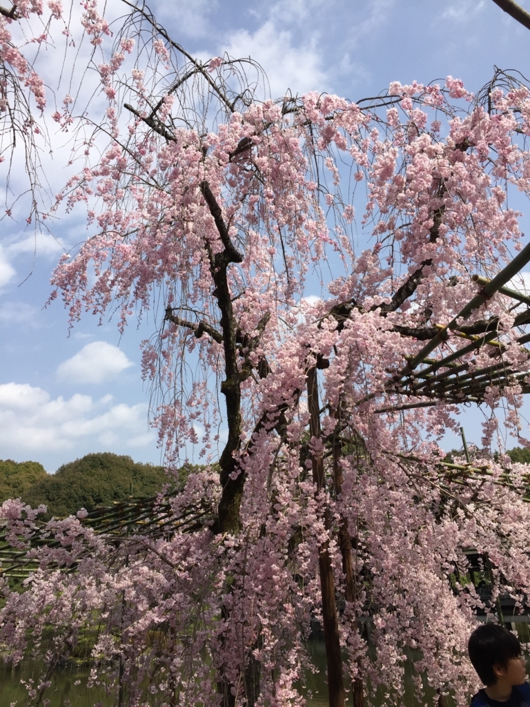 f:id:syha:20180410221537j:plain