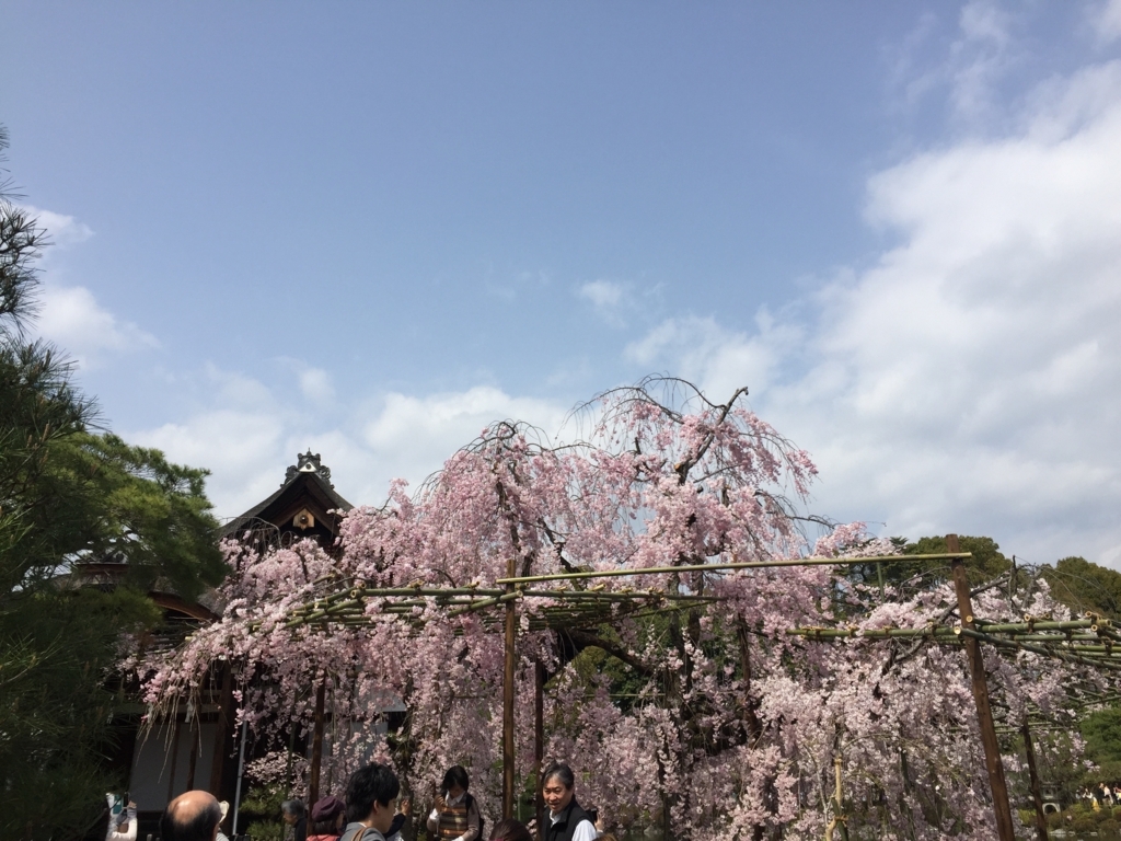 f:id:syha:20180410222323j:plain