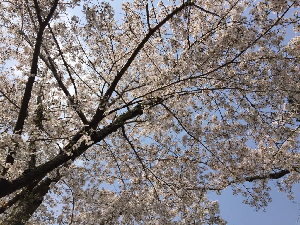 f:id:syha:20180410230340j:plain