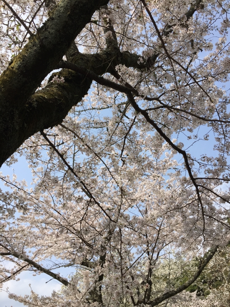 f:id:syha:20180410230546j:plain