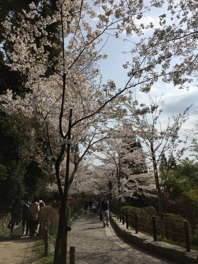 f:id:syha:20180410231224j:plain