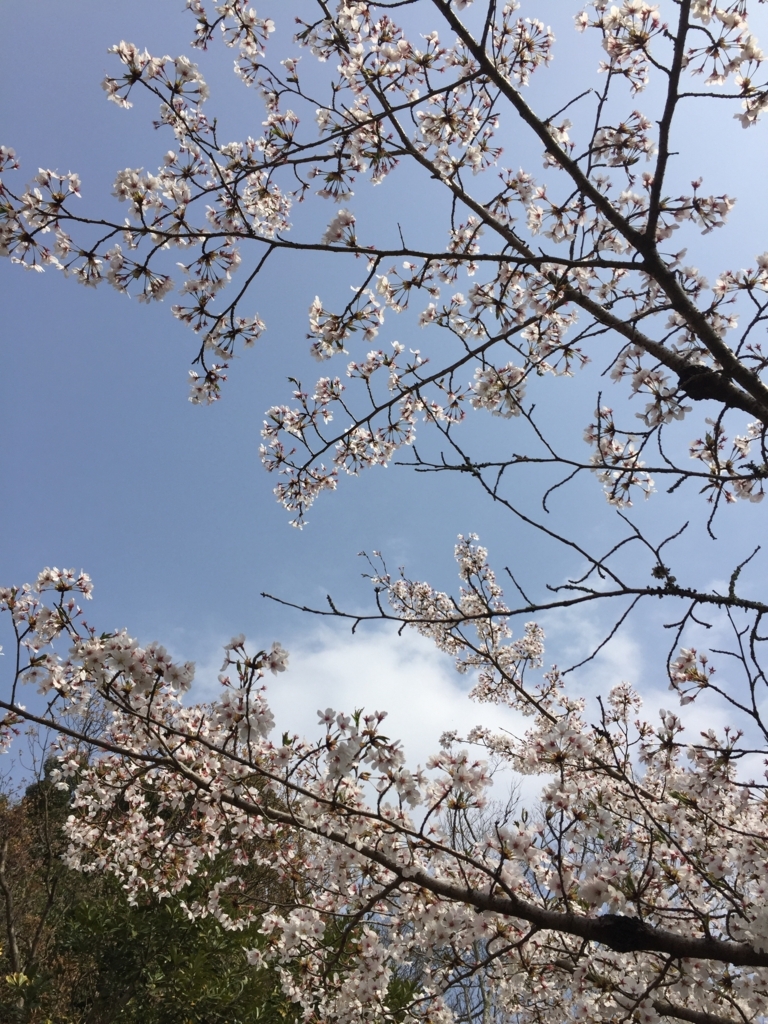 f:id:syha:20180410231613j:plain