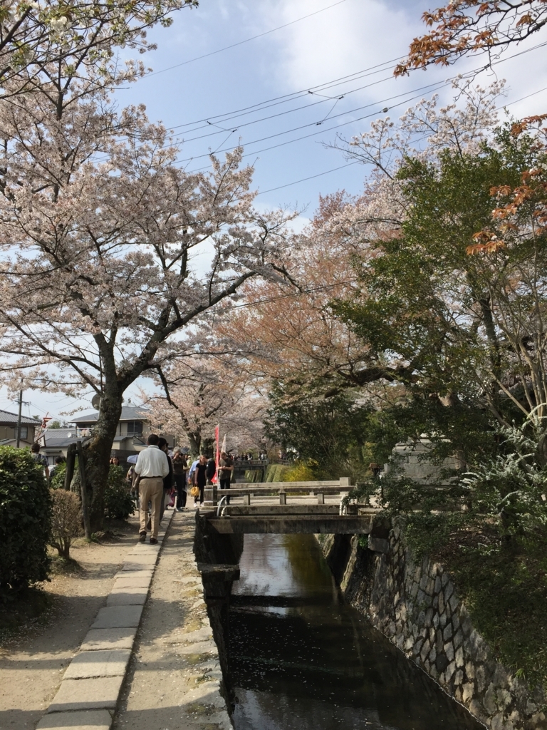 f:id:syha:20180410231731j:plain