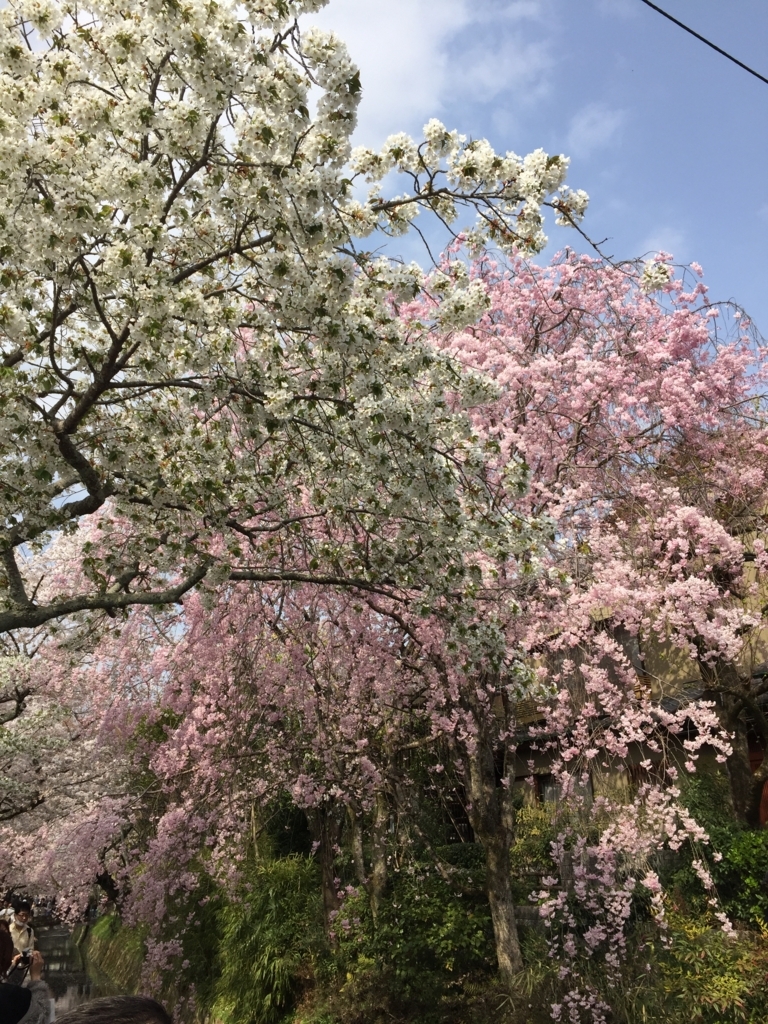 f:id:syha:20180410232211j:plain