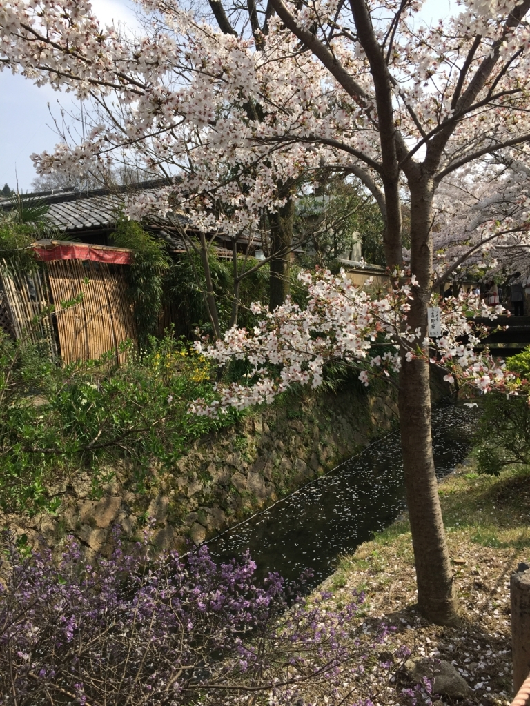 f:id:syha:20180410232425j:plain