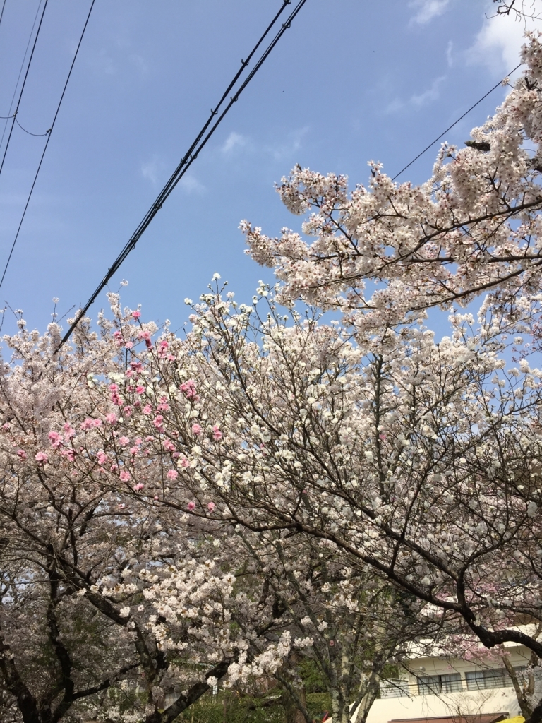 f:id:syha:20180410232502j:plain