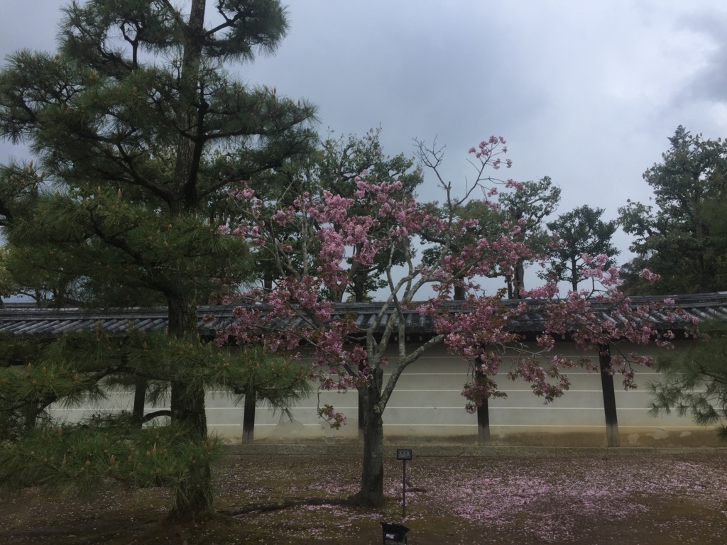 f:id:syha:20180412225342j:plain