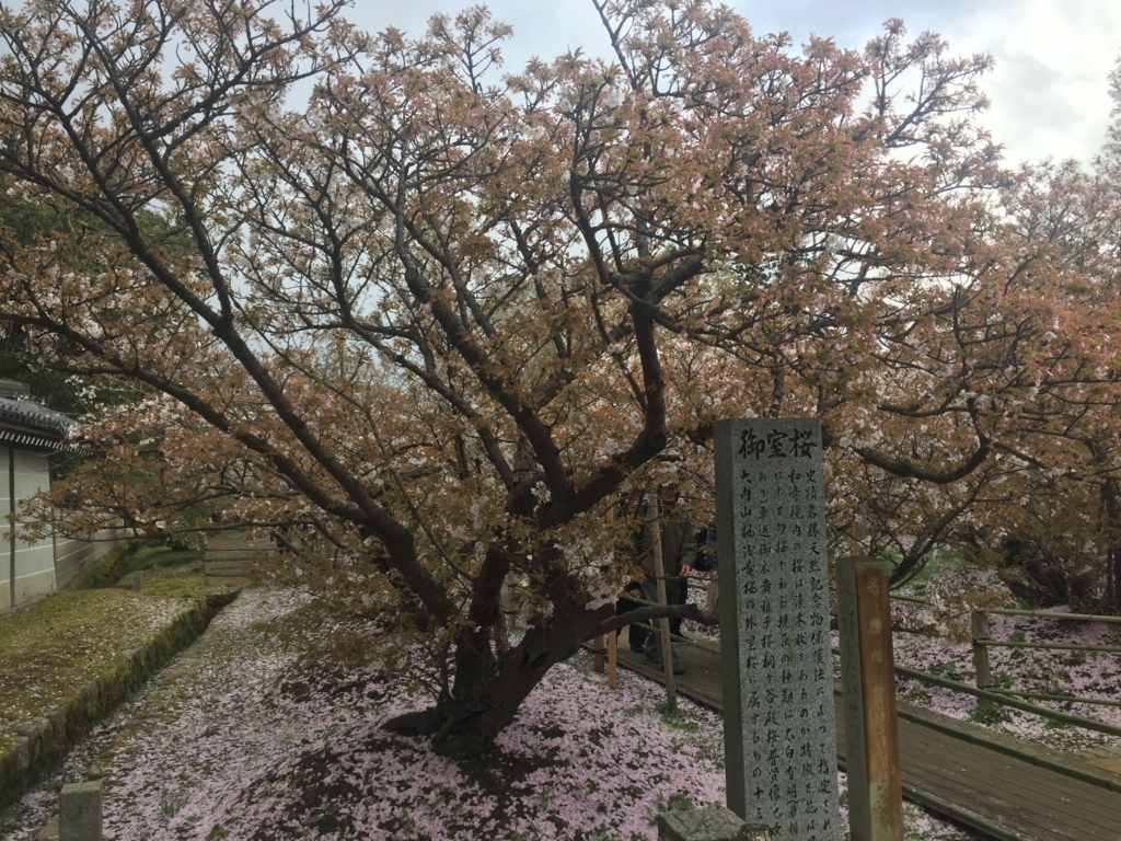 f:id:syha:20180412225706j:plain