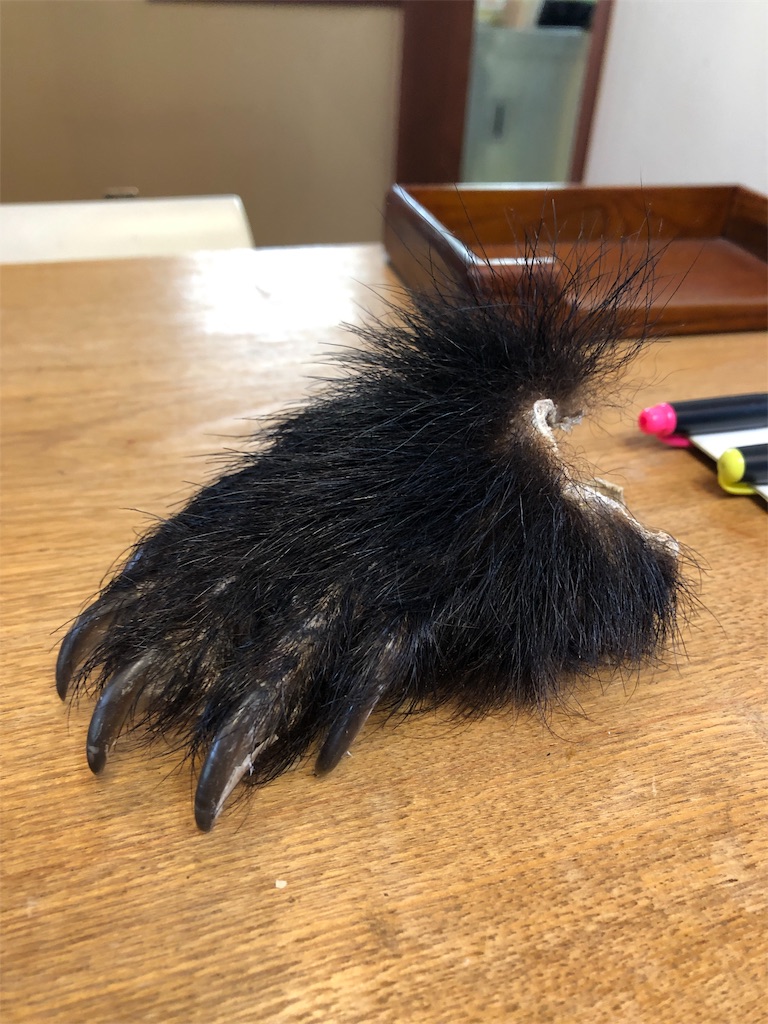 f:id:syidish:20190505054804j:image f:id:syidish:20190505054804j:image