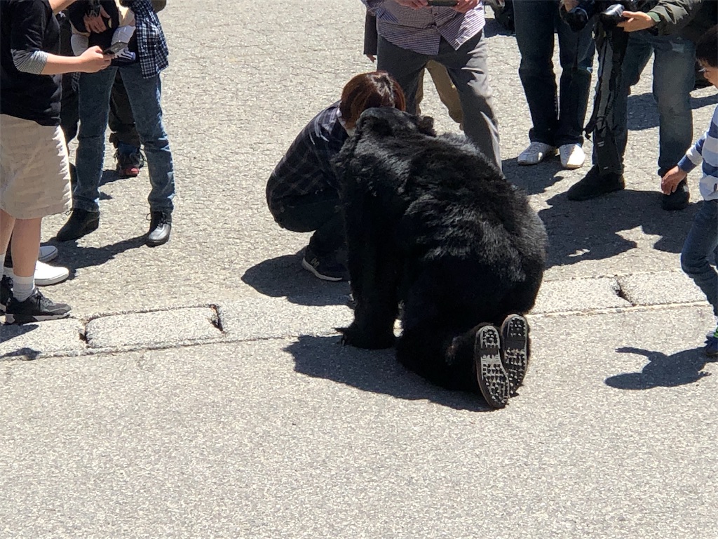 f:id:syidish:20190505055153j:image f:id:syidish:20190505055153j:image