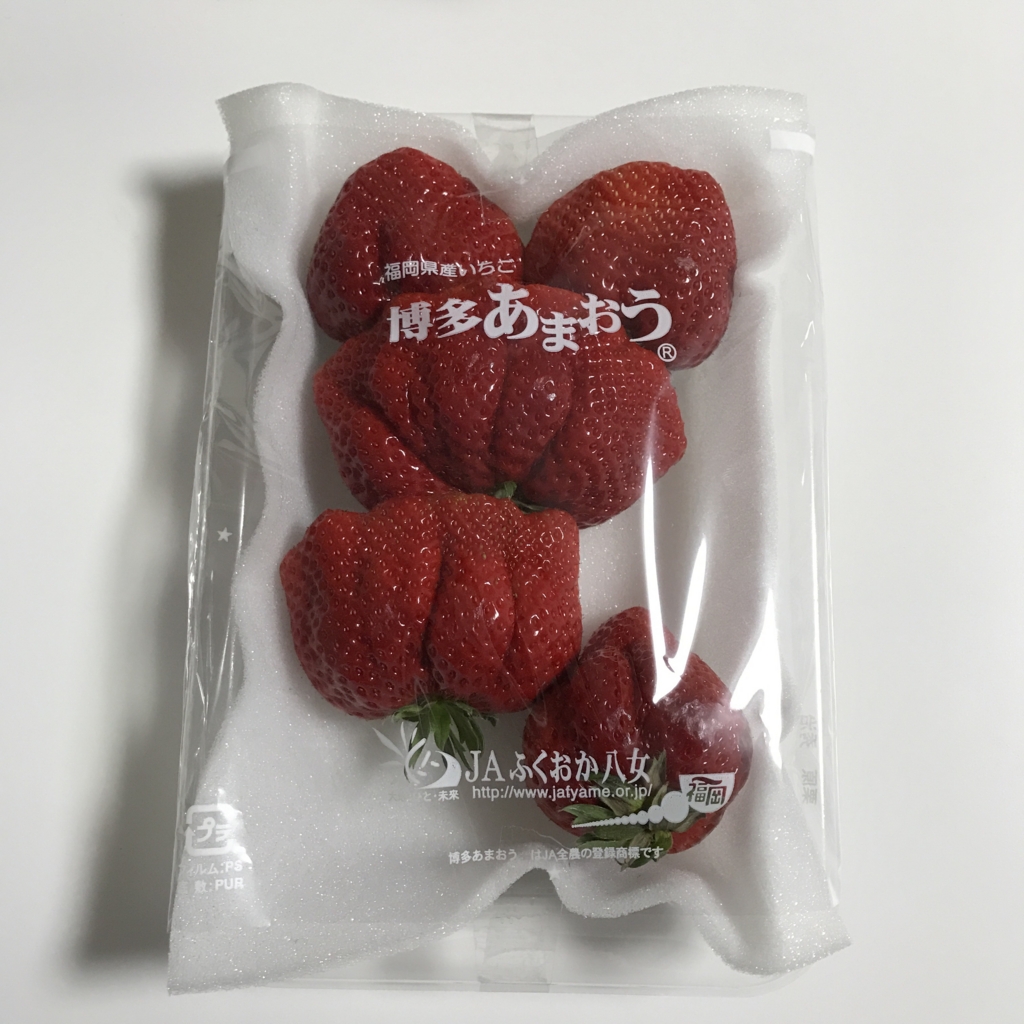 f:id:sykart:20170222194306j:plain f:id:sykart:20170222194306j:plain