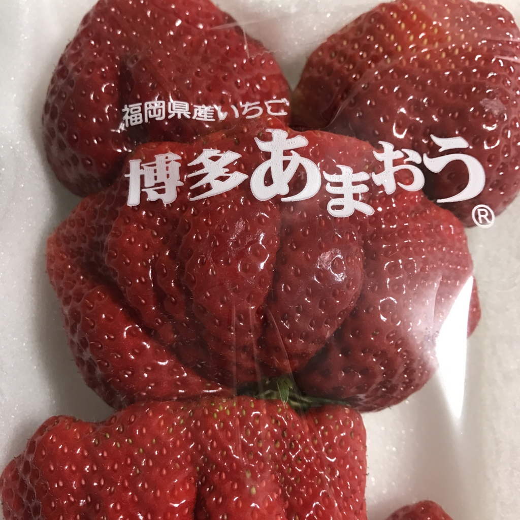 f:id:sykart:20170222194334j:plain f:id:sykart:20170222194334j:plain