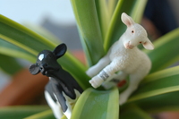 f:id:sykmelo:20071114142245j:image:left