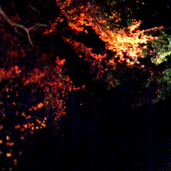 f:id:sykmelo:20081212021908j:image