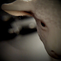 f:id:sykmelo:20081214013104j:image