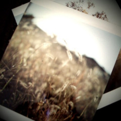 f:id:sykmelo:20081219102756j:image