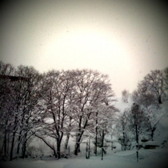 f:id:sykmelo:20081231092048j:image