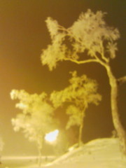 f:id:sykmelo:20090101165001j:image