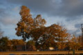 20101011171658